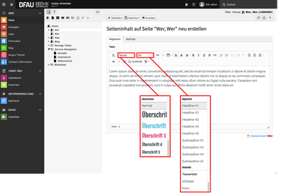 H-Tags in TYPO3 korrekt ausweisen