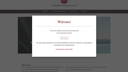 Die Webseite fordert Nutzer auf, ihr Alter zu bestätigen, um Zugang zu alkoholischen Inhalten zu erhalten.