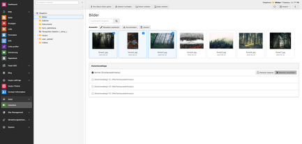 Die Ansicht zeigt eine Sammlung von Bildern, die in einem Ordner organisiert sind, mit Optionen zum Herunterladen oder Löschen.