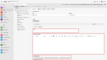 Screenshot vom toujou-Backend, dass zeigt, wie Text und Bilder in einem Tab erstellt werden in den roten Kästchen