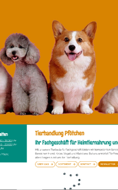 Eine Gruppe von vier Haustieren, darunter ein Hund, eine Katze und zwei Hunde, posiert fröhlich vor einem orangefarbenen Hintergrund.