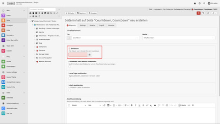 Screenshot des toujou Backends, das einen roten Rahmen um den Bereich Enddatum zeigt