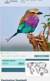 Ein bunter Vogel mit leuchtend grünen, blauen und lila Federn sitzt auf einem Ast und blickt aufmerksam in die Umgebung.