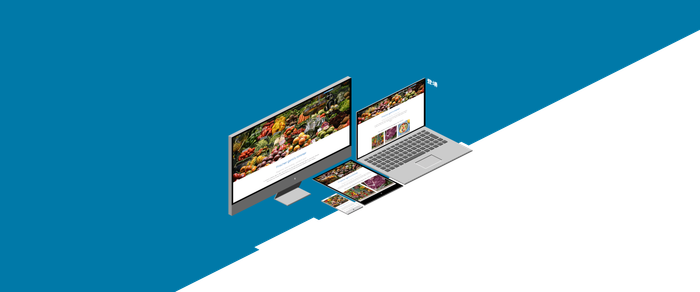 Ansicht verschiedener Endgeraete für das Website-Theme toujou