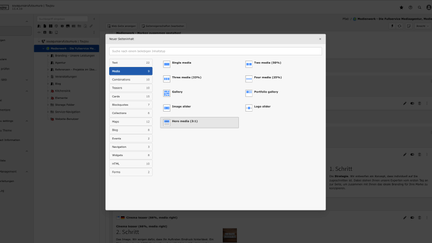 Screenshot des toujou-Backends bei der man die Elementgruppe Media sieht