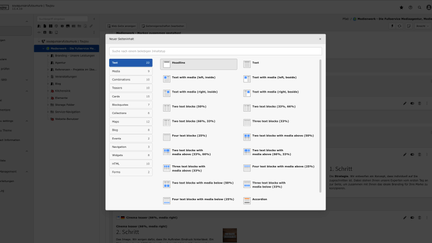 Screenshot des toujou-Backends bei der man die Elementgruppe Text sieht