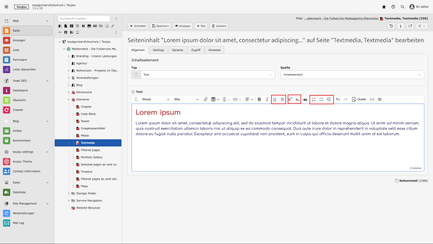 Screenshot toujou backend, das zeigt wie Listen und Bulletpoints bearbeitet werden