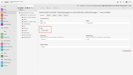 Screenshot vom toujou-Backend, dass zeigt, wie ein einzelnes Tab wird im roten Kästchen