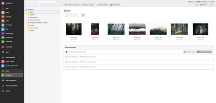 Die Ansicht zeigt eine Sammlung von Waldfotos, die in einem Dateimanager organisiert sind.