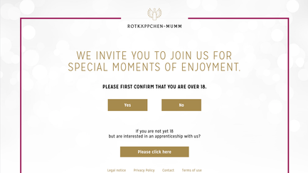 Die Webseite fordert Nutzer auf, ihr Alter zu bestätigen, um Zugang zu alkoholischen Inhalten zu erhalten.
