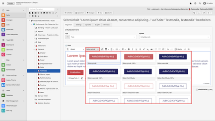 Screenshot toujou backend, das zeigt wie Linkbuttons bearbeitet werden