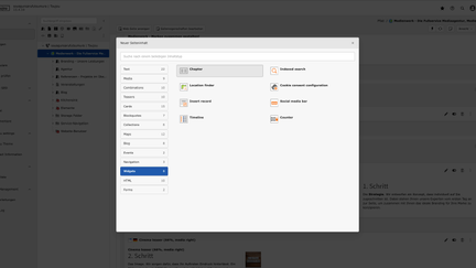 Screenshot des toujou-Backends bei der man die Elementgruppe Widgets mit dem Element Chapter sieht