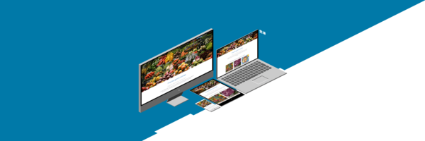Ansicht verschiedener Endgeraete für das Website-Theme toujou