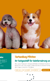 Eine Gruppe von vier Haustieren, darunter ein Hund, eine Katze und zwei Hunde, posiert fröhlich vor einem orangefarbenen Hintergrund.