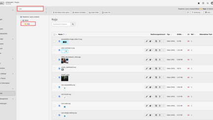 Screenshots eines TYPO3-Backends, das die Fileadmin Suche zeigt