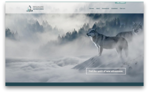 Zwei Wölfe stehen majestätisch in einer nebligen Landschaft, umgeben von schneebedeckten Bergen und dichten Wäldern.