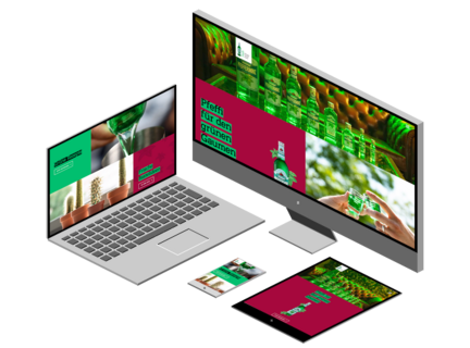 Screenshot Website Pfeffi